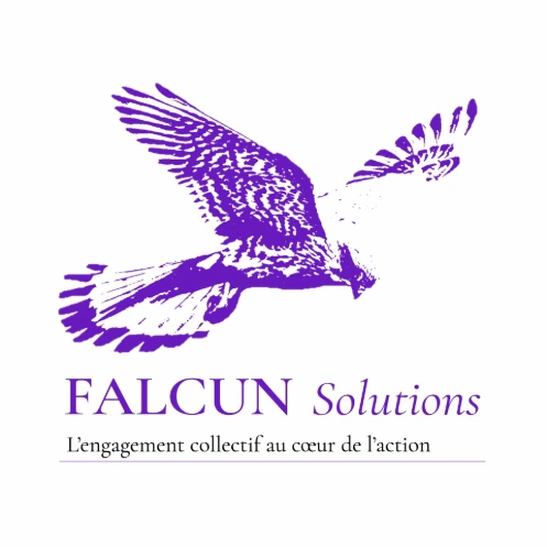 FALCUN Solutions